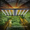 600 Watt 8bar Hemp LED Grow Lights